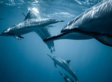 BB贝博体育登录入口-拜仁赢下德比却折大将！惊险3分为防线敲响警钟